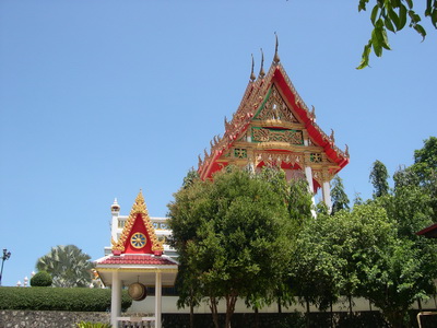  �Ѵ�лӸ�������