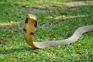 �ҳʵ� #� �ҵԹ���ͧ�ѹ���  