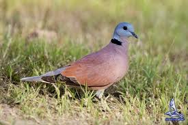 �ҳʵ� #�  ������ª��Ե