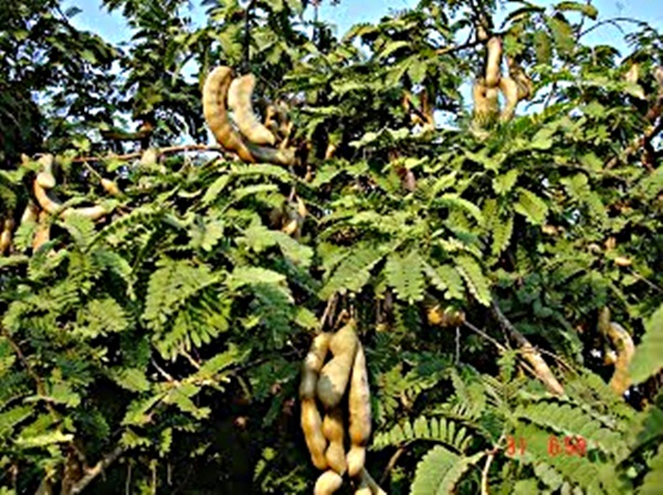 �ҳʵ� # �� �����͹�����